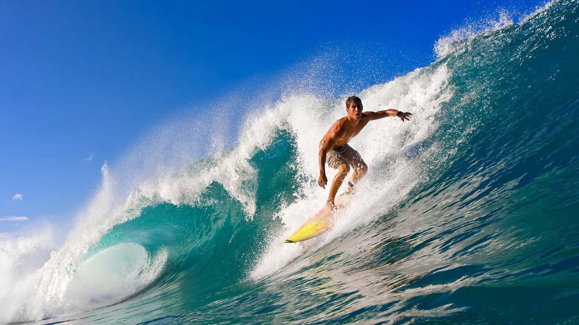 世界舵手锦标赛，东道主表现出色，不断冲击纪录，舵手百科