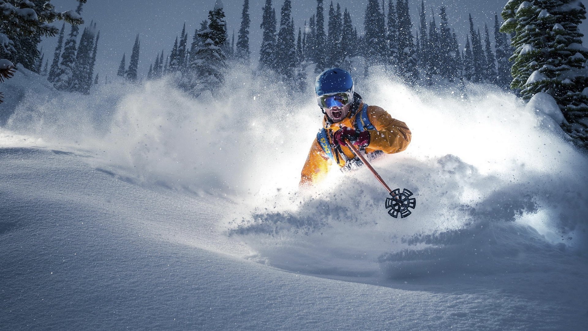从开场睡到终场的胖子，从开场睡到终场的胖子小说